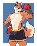 anthro armpit_hair body_hair boxing_gloves boxing_shorts canid canine clothing eye_scar facial_scar fluffy fluffy_tail fox grinning_at_viewer handwear head_tuft hi_res male mammal muscular muscular_anthro muscular_male ni_draw nipples pecs scar simple_background smile smiling_at_viewer solo tail tuft