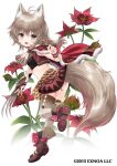  1girl :d animal_ears ascot black_shirt black_skirt brown_eyes brown_hair brown_legwear brown_tail capelet claws crop_top flower flower_knight_girl fox_ears fox_tail full_body gradient gradient_legwear kei_kei kurobanarouge_(flower_knight_girl) layered_skirt looking_at_viewer medium_hair midriff object_namesake official_art open_mouth shirt shoes simple_background skirt smile solo standing standing_on_one_leg tail thighhighs white_ascot white_background 