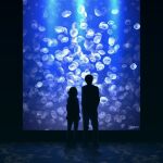  1boy 1girl aquarium dark_background from_behind full_body gojarun idolmaster idolmaster_cinderella_girls indoors jellyfish light looking_away ninomiya_asuka producer_(idolmaster) silhouette twitter_username 