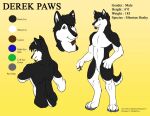 2009 anthro black_body black_fur black_tail canid canine canis derek_paws_(character) domestic_dog english_text facial_hair fur goatee husky male mammal model_sheet nordic_sled_dog samara_lab siberian_husky solo spitz standing tail text two_color_fur white_body white_fur white_tail