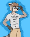 anthro aviator_glasses black_nose clothing eyewear glasses hi_res inner_ear_fluff male mammal manofmanyfaces meme multicolored_body procyonid raccoon shaded shirt simple_background simple_shading solo t-shirt topwear tuft