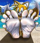 5_toes absurd_res anthro beach canid canine emerald_coast feet firelightproductions foot_fetish foot_focus fox glistening glistening_feet hi_res looking_at_viewer male male_feet mammal miles_prower outside plantigrade poseidonking5 sega smile soles solo sonic_the_hedgehog_(series) spread_toes toes white_soles wrinkled_feet wrinkles