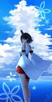  1girl black_hair blue_sky cloud day detached_sleeves dress feet_out_of_frame from_behind hair_ornament highres horizon kantai_collection katsuobushi_(eba_games) looking_at_viewer looking_back ocean outdoors pleated_dress red_eyes red_skirt reflection short_hair skirt sky solo standing wide_sleeves yamashiro_(kancolle) 