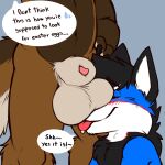 absurd_res animal_genitalia anthro ball_lick balls balls_on_face big_balls big_sheath blush canid canine canis cobalt_(texiefox) dialogue duo gaokun genitals hi_res kita_tanuki licking male male/male mammal oral penis penis_tip raccoon_dog sex sheath speech_bubble tanuki these_aren&#039;t_my_glasses tongue tongue_out wolf