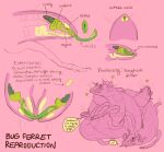 2017 alien anatomical_diagram anatomy animal_genitalia antennae_(anatomy) arthropod arthropod_abdomen arthropod_abdomen_cloaca arthropod_abdomen_genitalia arthropod_abdomen_penis bug_ferret claws cloaca cloacal cloacal_penetration cloacal_penis cross_section dialogue domestic_ferret english_text erection fallopian_tubes feral foursome fur genitals green_cloaca green_penis group group_sex guts heart_symbol herm herm/herm internal internal_testicles intersex intersex/intersex intestines jayrockin mammal mandibles monochrome multi_leg multi_limb multiple_images mustelid musteline mutual_penetration oof organs ovaries pawpads penetration penis pink_background restricted_palette ribbed_penis runaway_to_the_stars sex simple_background sleeping speech_bubble text toe_claws true_musteline urethra vaginal vaginal_penetration weasel whiskers