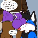 absurd_res animal_genitalia anthro balls balls_on_face big_balls big_sheath blush bulge canid canine canis clothing cobalt_(texiefox) dialogue duo gaokun genitals hi_res kita_tanuki male male/male mammal raccoon_dog sheath speech_bubble tanuki these_aren&#039;t_my_glasses tongue tongue_out underwear wolf
