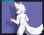anthro blue_eyes bulletproof-kitty canid canine changed_(video_game) digital_media_(artwork) fur goo_transformation lin_(changed) male mammal shadow simple_background solo tail text transformation white_body