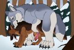  animal_genitalia animal_penis blue_eyes brown_body brown_fur canid canine canine_genitalia canine_penis duo erection feral feral_on_feral feral_penetrated feral_penetrating feral_penetrating_feral from_behind_position fur genitals green_eyes grey_body grey_fur hi_res killthe_demon knot male male/male male_penetrated male_penetrating male_penetrating_male mammal obscured_penetration open_mouth penetration penis plant sex side_view snow tongue tongue_out tree white_body white_fur 