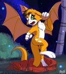 3_toes 4_fingers anthro anthro_to_human bat bat_wings black_hair brown_eyes clothes_on_ground dust:_an_elysian_tail fangs feet female fidget_(elysian_tail) fingers fur fur_tuft gender_transformation green_eyes hair hi_res human male mammal membrane_(anatomy) membranous_wings mid_transformation mtf_transformation multicolored_body multicolored_fur night nimbat orange_body orange_fur outside paws solo species_transformation teeth tf-sential toes transformation tuft two_tone_body two_tone_fur white_body white_fur wings