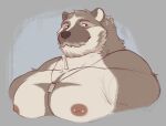 american_badger anthro areola badger barazoku barbell_piercing beard big_muscles big_pecs black_nose brown_body brown_eyebrows brown_fur bust_portrait cheek_markings closed_smile colored_sketch countershade_face countershade_fur countershade_torso countershading deltoids digital_media_(artwork) eyebrows facial_hair facial_markings flat_colors fur head_markings hi_res jewelry looking_at_viewer male male_anthro mammal markings mouth_closed multicolored_body multicolored_fur muscular muscular_anthro muscular_male mustache mustelid musteline narrowed_eyes necklace necklace_only nipple_barbell nipple_piercing nipples nude nude_anthro nude_male pecs piercing pink_areola pink_nipples portrait red_eyes simple_background sketch smile smiling_at_viewer solo theor theor_(character) third-party_edit three-quarter_view trapezius white_body white_countershading white_fur white_inner_ear