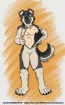 2019 4_toes 5_fingers absurd_res animate_inanimate anthro artist_name black_snout blue_eyes brown_eyes canid canine canis clothing dipstick_ears domestic_dog ear_markings feet fingers floppy_ears fur grey_body grey_fur grin heterochromia hi_res human human_skin human_wearing_fursuit kemira latex latex_clothing living_clothing living_costume living_fursuit looking_at_viewer male mammal multicolored_ears norm_(dog) open_suit orange_background simple_background smile tail tan_body tan_ear_tips tan_fur text toes url