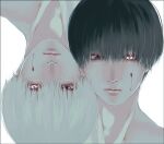  2boys alternate_eye_color bangs black_hair blood blood_on_face closed_mouth commentary_request dual_persona expressionless glowing glowing_eye grey_hair kaneki_ken koujima_shikasa looking_at_viewer male_focus multiple_boys portrait red_eyes short_hair simple_background tokyo_ghoul upside-down white_background 