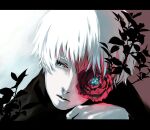  1boy bangs black_shirt closed_mouth commentary_request flower gradient gradient_background hand_on_own_chin hand_up kaneki_ken koujima_shikasa letterboxed looking_to_the_side male_focus one_eye_covered pale_skin plant portrait red_background red_flower shirt short_hair solo tokyo_ghoul white_background white_hair 