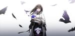  1girl absurdres arknights black_hairband black_pantyhose bouquet brown_hair chinese_commentary closed_mouth coat colored_inner_hair commentary_request cowboy_shot feathers floating_hair flower gradient_background grey_background hairband highres holding holding_bouquet lab_coat long_hair long_sleeves looking_at_viewer multicolored_hair open_clothes open_coat pantyhose partial_commentary petals priestess_(arknights) prts_logo_(arknights) purple_eyes purple_flower purple_hair qilin1213 smile solo standing sweater turtleneck turtleneck_sweater white_background white_coat white_sweater wind 