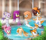 2018 :3 amber_eyes amy_rose anthro avian back_wings badger bat bathing bathing_together beak biko97 bird blaze_the_cat blue_eyes breasts building covering covering_breasts cream_the_rabbit domestic_cat echidna eulipotyphlan eyes_closed feathers felid feline felis female fur green_eyes group hair hedgehog hirundinid holding_own_leg hot_spring lagomorph leporid mammal marine_the_raccoon monotreme multicolored_hair mustelid musteline nude open_mouth open_smile orange_body orange_fur oscine outside partially_submerged passerine pink_body pink_fur plant procyonid purple_body purple_feathers purple_fur rabbit raccoon rouge_the_bat sega sitting smile sonic_adventure sonic_boom sonic_riders sonic_the_hedgehog_(series) steam sticks_the_jungle_badger swallow_(bird) tail tan_body tan_fur tikal_the_echidna towel towel_only two_tone_hair water wave_the_swallow wet white_body white_fur wings