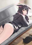  1girl absurdres animal_ears ass black_cat black_hair black_hoodie black_panties blue_archive blush cat cat_ears closed_mouth colored_inner_hair commentary couch curtains halo highres hood hoodie indoors kazusa_(blue_archive) long_sleeves looking_at_viewer looking_back lying medium_hair momocadraw multicolored_hair no_pants on_couch on_stomach panties pink_eyes pink_hair pink_halo plant sleeping sleeves_past_wrists thighs two-tone_hair underwear wooden_floor 