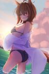  1girl absurdres agnes_tachyon_(umamusume) ahoge alternate_costume animal_ears ass bikini black_bikini blush breasts brown_hair cloud cloudy_sky coat coat_partially_removed commentary_request gorioshi0802 highres horse_ears horse_girl horse_tail lab_coat looking_at_viewer looking_back medium_breasts messy_hair open_clothes open_coat outdoors red_eyes short_hair sky sleeves_past_fingers sleeves_past_wrists smile solo standing sunset swimsuit tail umamusume wading white_coat 