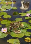  animal animal_focus artist_name baby_animal bird commentary_request copyright_notice day duck duckling eastern_spot-billed_duck flower kun52 lily_pad nature no_humans original outdoors plant pond reflection reflective_water ripples signature sunlight water water_lily_flower watermark white_flower 
