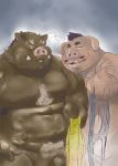  2015 anthro belly boar brown_fur clothing duo flaccid fur humanoid_hands male mammal moobs nipples overweight overweight_male penis pig pink_fur porcine simple_background tachiuo tusks underwear 