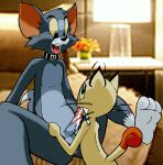 2019 3_toes anthro anthro_on_anthro anus bedroom bent_legs biped black_eyebrows black_eyes black_nose bodily_fluids brown_tail_tip butt butt_from_the_front cheek_tuft collar collar_only colored cozy crossover cum cum_in_mouth cum_inside curling_tail digital_drawing_(artwork) digital_media_(artwork) dipstick_tail djonskin domestic_cat duo ejaculation erection eyebrows facial_tuft feet felid feline felis foot_fetish foot_focus fur generation_1_pokemon genital_fluids genitals grey_body grey_fur head_tuft hi_res hotel humanoid_feet humanoid_genitalia humanoid_penis inside knees_up leg_markings light lighting looking_pleasured male male/male mammal markings meowth meowth_(team_rocket) metro-goldwyn-mayer mixed_media multicolored_body multicolored_fur nintendo nude open_mouth oral paws penis photo_background photography_(artwork) pink_anus plantigrade pointy_ears pokemon pokemon_(species) raised_foot rear_view shaded sitting slave socks_(marking) soles spine spread_legs spreading tail tail_markings tan_body tan_fur team_rocket thomas_cat toes tom_and_jerry tongue tongue_out toonpimp tuft two_tone_body two_tone_fur whiskers white_feet white_tail_tip yellow_sclera