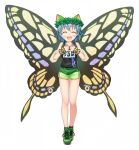  bug but butterfly eternity larva lostword non-web_source touhou 