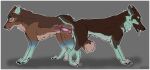  2025 animal_genitalia animal_penis animal_vulva ass_to_ass bodily_fluids brown_body brown_fur canid canine canine_genitalia canine_penis canine_vulva canis cum cum_in_uterus cum_inside domestic_dog duo erection female female_penetrated feral feral_on_feral feral_penetrated feral_penetrating feral_penetrating_feral fur fyria_(hateeven) genital_fluids genitals german_shepherd hateeven herding_dog hi_res internal knot knotting male male/female male_penetrating male_penetrating_female mammal pastoral_dog penetration penis sex sheppermint simple_background uterus wolf 
