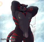 absurd_res armpit_tuft ayato_kamata balls beard bi_(ayato_kamata) biceps black_body black_fur body_hair chest_hair chest_tuft facial_hair felid flaccid fur genitals grey_body grey_fur hi_res male mammal manly muscular muscular_male nipples pantherine pecs penis presenting pubes raised_arms red_stripes relaxed_expression shower solo standing striped_body striped_fur stripes tail tiger triceps tuft vein veiny_penis watermark yellow_eyes