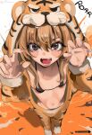  1girl absurdres aisaka_taiga animal_costume animal_print bikini black_bikini blonde_hair blush bodysuit breasts brown_eyes claw_pose commentary english_commentary fangs hair_between_eyes highres hood hood_up lady_shin long_hair looking_at_viewer navel open_bodysuit open_clothes open_mouth small_breasts solo stomach swimsuit tiger_costume tiger_print toradora! 