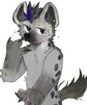  2025 absurd_res anthro arknights blush blush_lines claws ear_piercing eyebrow_piercing facial_piercing fur grey_body grey_fur hair hi_res hyena hypergryph looking_at_viewer male mammal markings piercing recycledpl4stic solo spot_(arknights) spots spotted_body spotted_fur spotted_hyena studio_montagne tail 