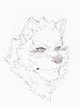  absurd_res anthro blush canid canine canis domestic_dog greyscale headshot_portrait heylaw21 hi_res husky lifewonders live-a-hero male mammal monochrome monomasa neck_tuft nordic_sled_dog portrait sketch solo spitz tuft video_games 
