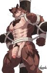  anthro areola arm_scar arms_tied balls bdsm biped bodily_fluids body_hair bondage bound brown_body brown_fur canid canine canis chest_hair cross dripping eye_scar facial_scar fist foreskin fur genitals hands_tied hi_res humanoid_genitalia humanoid_penis kamyuelo leg_scar male mammal muscular muscular_anthro muscular_male nipples nude partially_retracted_foreskin penis pink_nipples pubes restraints rope rope_bondage scar simple_background solo sweat white_background wolf 