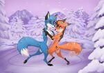  ambiguous_gender blue_body blue_fur canid canine dancing duo feral fox fur koro mammal on_hind_legs rukifox snow yato 