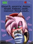  3:4 amy_rose anthro blush bodily_fluids cum cum_in_mouth cum_inside dialogue english_text eulipotyphlan fellatio female first_person_view genital_fluids hedgehog hi_res male mammal oral penile recording roughlove69 sega sex shadow_the_hedgehog sonic_the_hedgehog_(series) text 