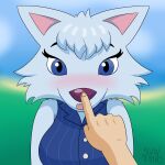 1:1 absurd_res alwinmeistro ambiguous_gender ambiguous_pov animal_crossing anthro artist_name big_breasts biped blue_clothing blue_eyes blue_sweater blue_topwear blurred_background blush boop breasts canid canine canis clothed clothed_anthro clothed_female clothing colored day detailed_background duo female female/ambiguous fingers first_person_view front_view fur grass grey_body grey_fur grey_hair hair hi_res human human_on_anthro human_pov interspecies looking_at_viewer mammal nintendo nose_boop outside plant shaded short_hair sky sleeveless_sweater surprised sweater text topwear whitney_(animal_crossing) wolf