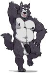 adastra adastra_(series) amicus_(adastra) anthro balls black_body black_fur canid canine canis echo_project fur genitals hi_res male mammal nipples nude paws penis saiterfroha solo tail tongue tongue_out wolf