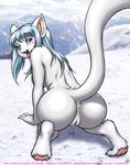  1girl animal_ears anus ass barefoot blue_eyes blue_hair breasts cat dr_comet dripping feet furry nude outdoors outside pawpads paws pussy snow soles solo spread_legs tail toes 