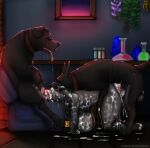 absurd_res alchemist anthro bestiality big_breasts bodily_fluids breast_squish breasts breasts_on_ground canid canine canis cum cum_dumpster cum_everywhere cum_inside domestic_cat domestic_dog excessive_cum excessive_genital_fluids felid feline felis feral genital_fluids group gynomorph hi_res huge_breasts intersex intersex/male knotting male mammal marathon_sex messy miasma_velenosa_(miasmium) questionable_consent ruanshi squish trio