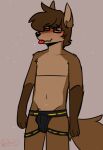  2021 absurd_res anthro biped black_nose blep brown_body brown_fur brown_hair bulge canid canine canis clothed clothing commander_(commanderthings) commanderthings digital_drawing_(artwork) digital_media_(artwork) english_text eyebrow_through_hair eyebrows eyes_closed eyewear fingers fur genital_outline glasses hair hi_res jockstrap long_hair male mammal navel open_mouth sheath_outline simple_background solo text tongue tongue_out topless translucent translucent_hair underwear wolf youtuber 
