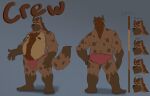  2021 anthro belly brown_body brown_fur bulge butt clothing dippubear english_text fur hi_res humanoid_hands hyaenid male mammal model_sheet moobs nipples overweight overweight_male simple_background solo text underwear 