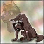 2017 ambiguous_gender amputee armband attack_on_titan bandage bandage_on_face black_nose brown_body brown_fur brown_hair canid canine canis claws disability domestic_dog emaciated eren_yeager feral feral_with_hair feralized fur green_eyes hair mammal missing_leg mizzkie pawpads red_armband solo
