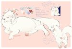 albino anglwshot annoyed anus apprentice balls blue_eyes blush butt butt_scar colored_sketch domestic_cat droopy_eyes fan_character felid feline felis feminine feral floppy_ears fluffy fluffy_chest fluffy_tail folded_ears fur genitals heart_nose heart_symbol hi_res lying male mammal model_sheet pawpads paws pink_background pink_blush pink_nose pupils rabbitpaw_(anglwshot) red_pupils scar simple_background sketch slightly_chubby solo tail text warriors_(book_series) watermark white_body white_fur y_anus