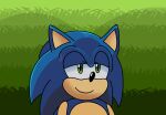 archie_comics bannerniceman big_butt blue_body blue_fur butt eulipotyphlan fur grass green_eyes happy hedgehog hi_res looking_at_butt male mammal plant sega shadow smile smiling_at_another sonic_the_hedgehog sonic_the_hedgehog_(archie) sonic_the_hedgehog_(comics) sonic_the_hedgehog_(series)
