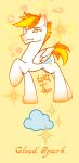 cloud_spark cutie_mark equid equine fan_character feral friendship_is_magic hasbro hi_res horse lygththys male male/male mammal my_little_pony mythological_creature mythological_equine mythology pegasus pony solo wings