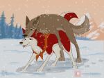  2021 4:3 animated balto balto_(film) bandanna brown_body brown_fur canid canine canis doggystyle domestic_dog duo female female_penetrated feral feral_on_feral feral_penetrated feral_penetrating feral_penetrating_feral footprint forest frame_by_frame from_behind_position fur hi_res husky hybrid jenna_(balto) kerchief looking_pleasured male male/female male_penetrating male_penetrating_female mammal mountain mounting muskydusky nordic_sled_dog pawprint penetration plant red_body red_fur sex short_playtime snow snowing spitz tongue tongue_out tree wolf wolfdog 