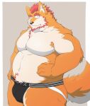  2021 anthro belly black_nose bulge canid canine canis clothing domestic_dog hi_res humanoid_hands jockstrap kemono male mammal moobs overweight overweight_male simple_background solo tora_oekaki underwear 