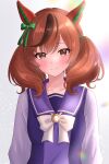 1girl absurdres animal_ears blush bow bowtie breasts brown_eyes brown_hair closed_mouth collarbone commentary_request ear_bow ear_covers ear_ribbon green_bow highres horse_ears horse_girl long_sleeves looking_at_viewer medium_hair multicolored_hair munimuni_yd nice_nature_(umamusume) purple_sailor_collar purple_shirt sailor_collar sailor_shirt school_uniform shirt smile solo streaked_hair tracen_school_uniform twintails umamusume white_bow white_bowtie 