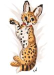  2021 4_toes ambiguous_gender collar digital_media_(artwork) feet felid feline feral flashw fur mammal paws serval solo spots spotted_body spotted_fur toes 