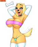  ahegao anthro big_breasts blue_eyes blush bone bra brandy_and_mr._whiskers brandy_harrington breasts canid canine canis choker clothing disney domestic_dog dongitos female gloves handwear hi_res jewelry looking_pleasured mammal necklace solo standing tail_motion tailwag tongue tongue_out underwear 