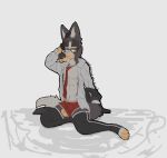  anthro canid canine canis clothed clothing domestic_dog eyewear glasses gloves hand_on_head handwear legwear looking_at_viewer male mammal necktie open_clothing open_shirt open_topwear ricthecusco shirt sitting slim solo thigh_highs topwear underwear undressing 