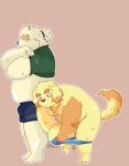  2021 anthro belly blush brown_body brown_fur bulge clothing cu_sith_(tas) duo eyes_closed fur ginsingoo1 hi_res kemono leib_(tas) lifewonders male mammal overweight overweight_male pink_background polar_bear shirt simple_background tokyo_afterschool_summoners topwear underwear undressing ursid ursine video_games 